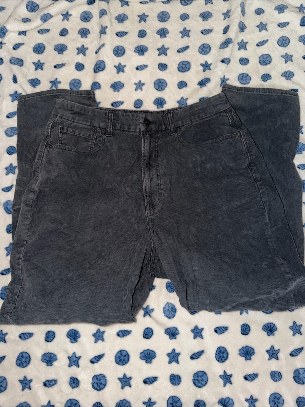 American Eagle Outfitters Black/Gray Corduroy Pants
